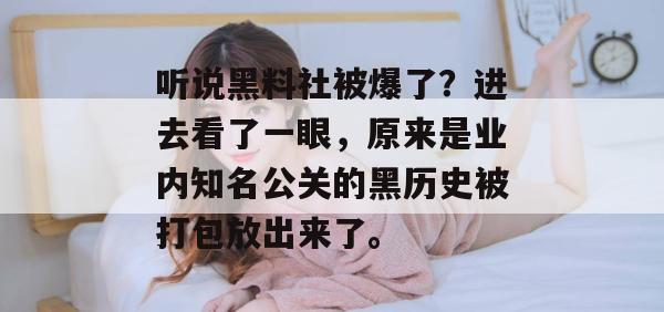 听说黑料社被爆了？进去看了一眼，原来是业内知名公关的黑历史被打包放出来了。