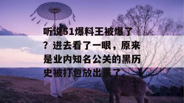 听说51爆料王被爆了?进去看了一眼,原来是业内知名公关的黑历史被打包放出来了。 听说51爆料王被爆了?进去看了一眼,原来是业内知名公关的黑历史被打包放出来了。